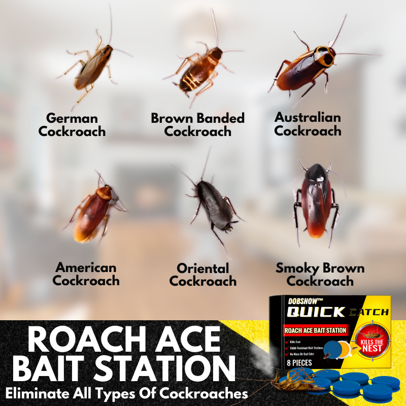 Dobshow™️ QuikCatch Killer RoachAce Bait Station